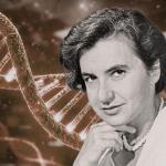 Rosalind Franklin: La arquitecta olvidada que mostró las bases de la vida