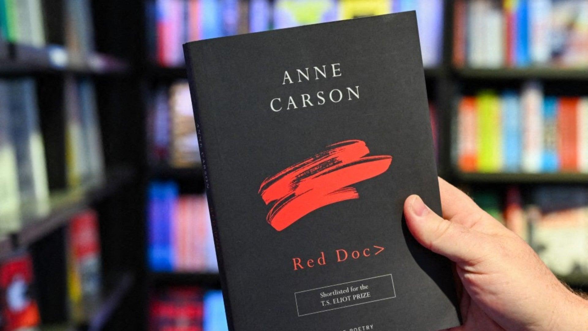 Anne-Carson-novela