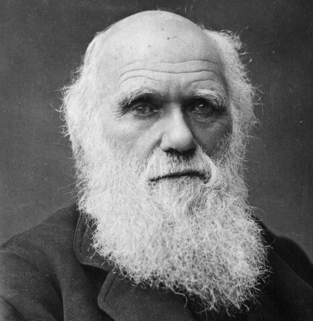 Día de Darwin: homenaje al padre de la teoría de la evolución