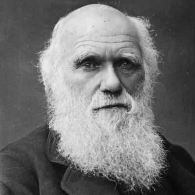 Día de Darwin: homenaje al padre de la teoría de la evolución