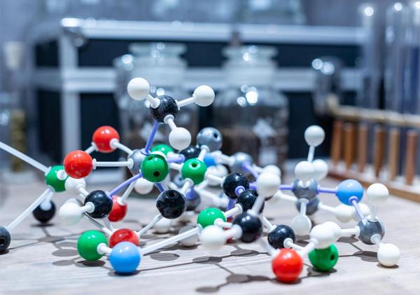 Día Internacional del Mol: una celebración para contar lo incontable