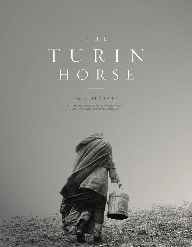 El-caballo-de-Turin