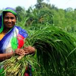 'Mujeres de la tierra': la FAO y el MAM visibilizan el papel de las agricultoras dominicanas
