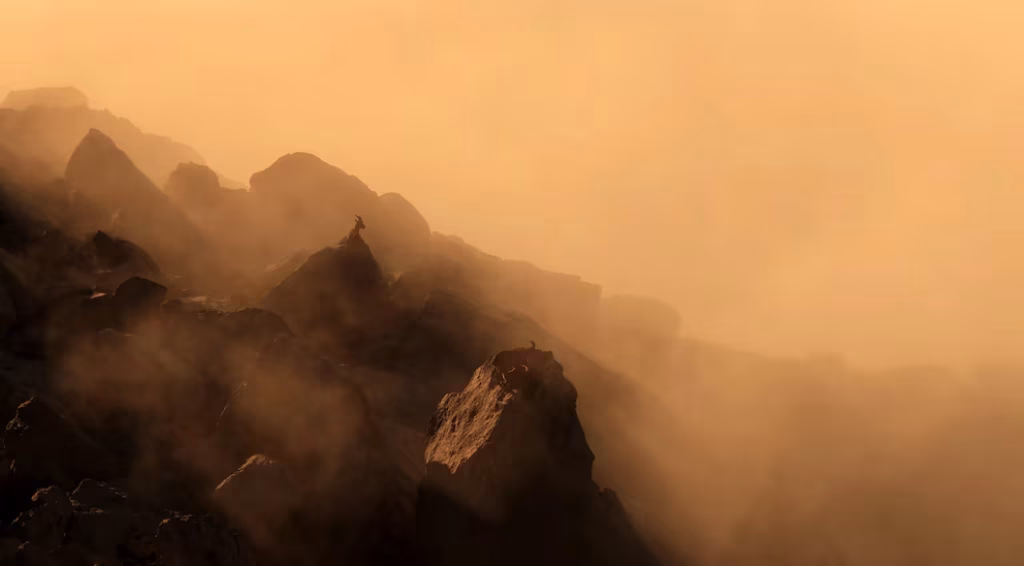 Un jovencito de 13 años se lleva el premio mayor en un concurso mundial de fotografía