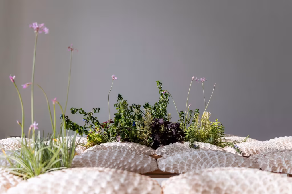 El Pabellón Británico en la Bienal de Arquitectura de Venecia aborda el colonialismo