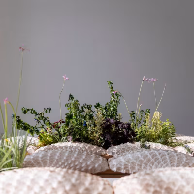 El Pabellón Británico en la Bienal de Arquitectura de Venecia aborda el colonialismo