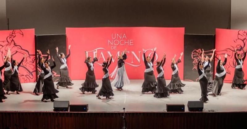 viva-flamenco-1