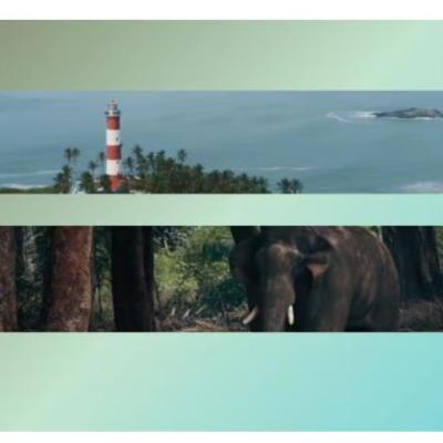 Instagram estrena sus vídeos “ultra anchos”: una franja cinematográfica que revoluciona el feed