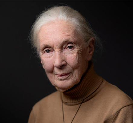 Jane-Goodall-2