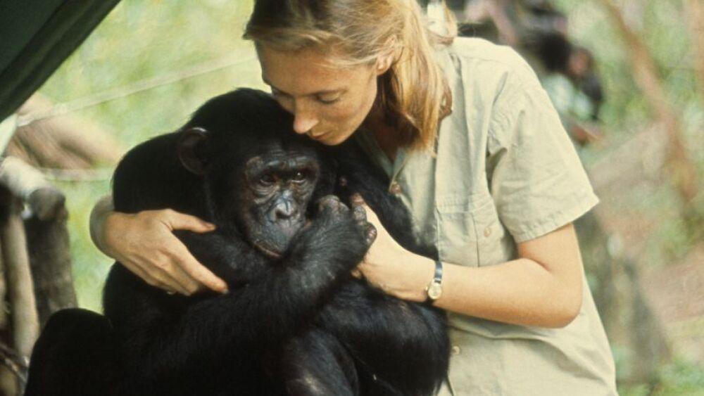 Jane-Goodall