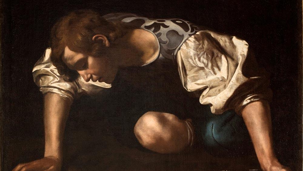 Metamorfosis-Rijksmuseum-1