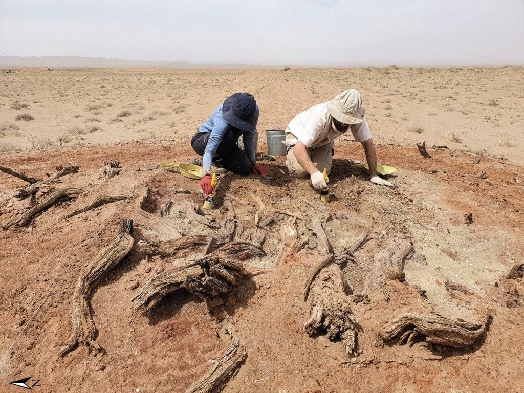 La Muralla del Gobi: cuando una frontera se convirtió en arteria comercial
