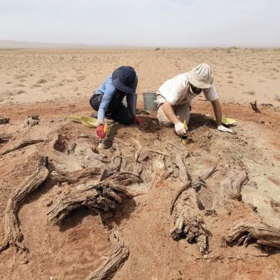 La Muralla del Gobi: cuando una frontera se convirtió en arteria comercial