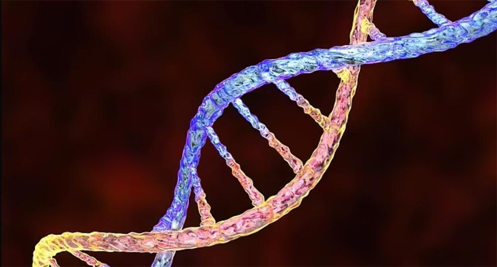Rosalind-Franklin-doble-helice-adn