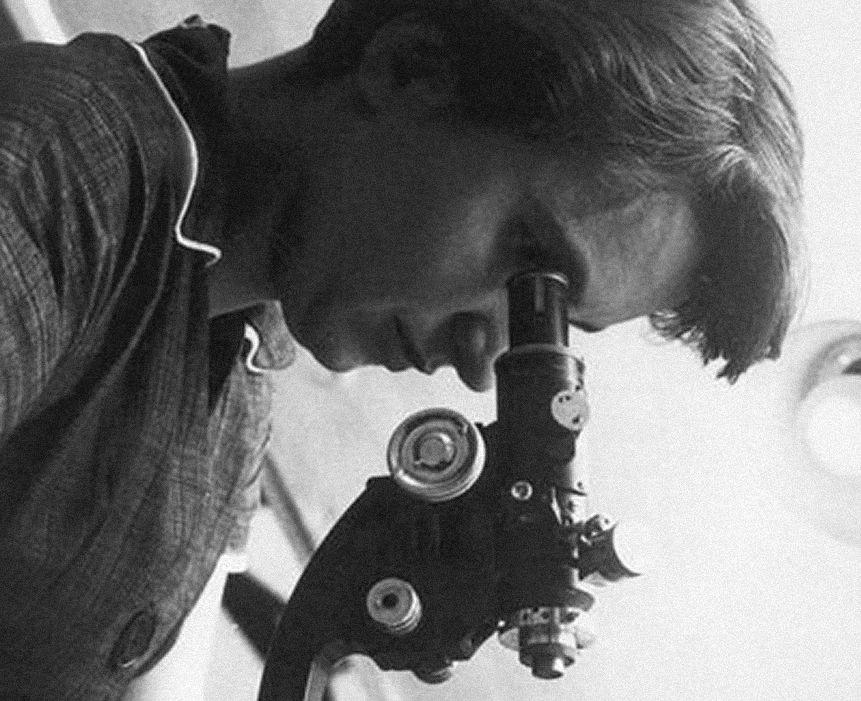 rosalind_franklin_menu